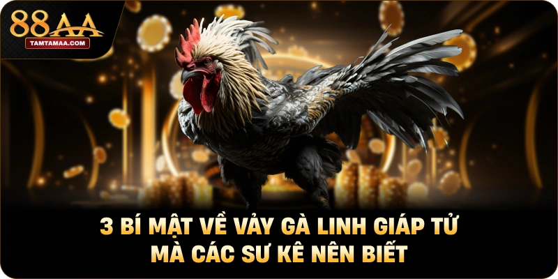 3 Bí Mật Về Vảy Gà Linh Giáp Tử Mà Các Sư Kê Nên Biết